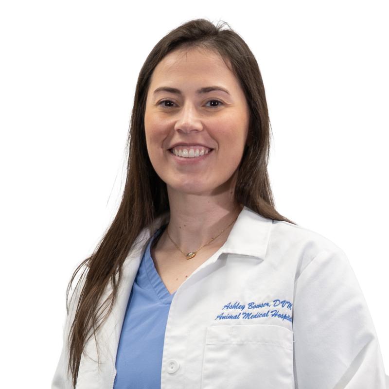 Ashley Jacobs, DVM Ashley Jacobs, DVM