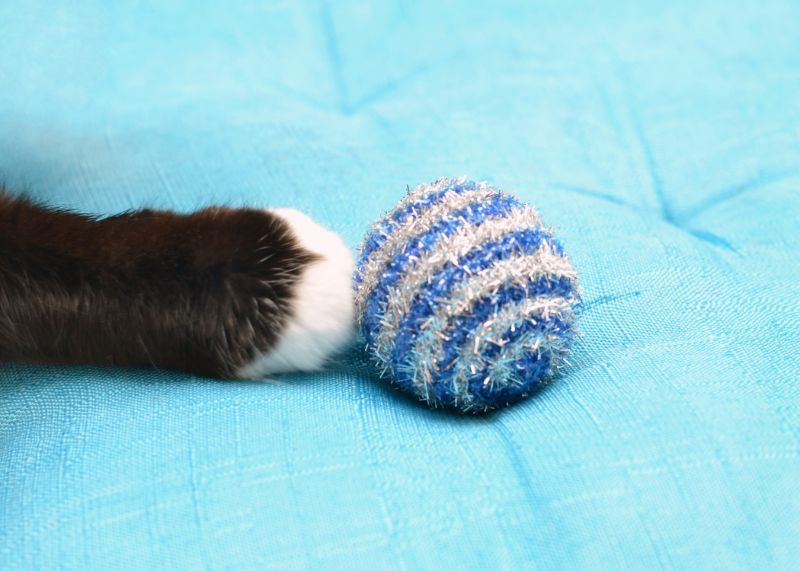 7 Interactive Toys to Enrich Your Cat's Life