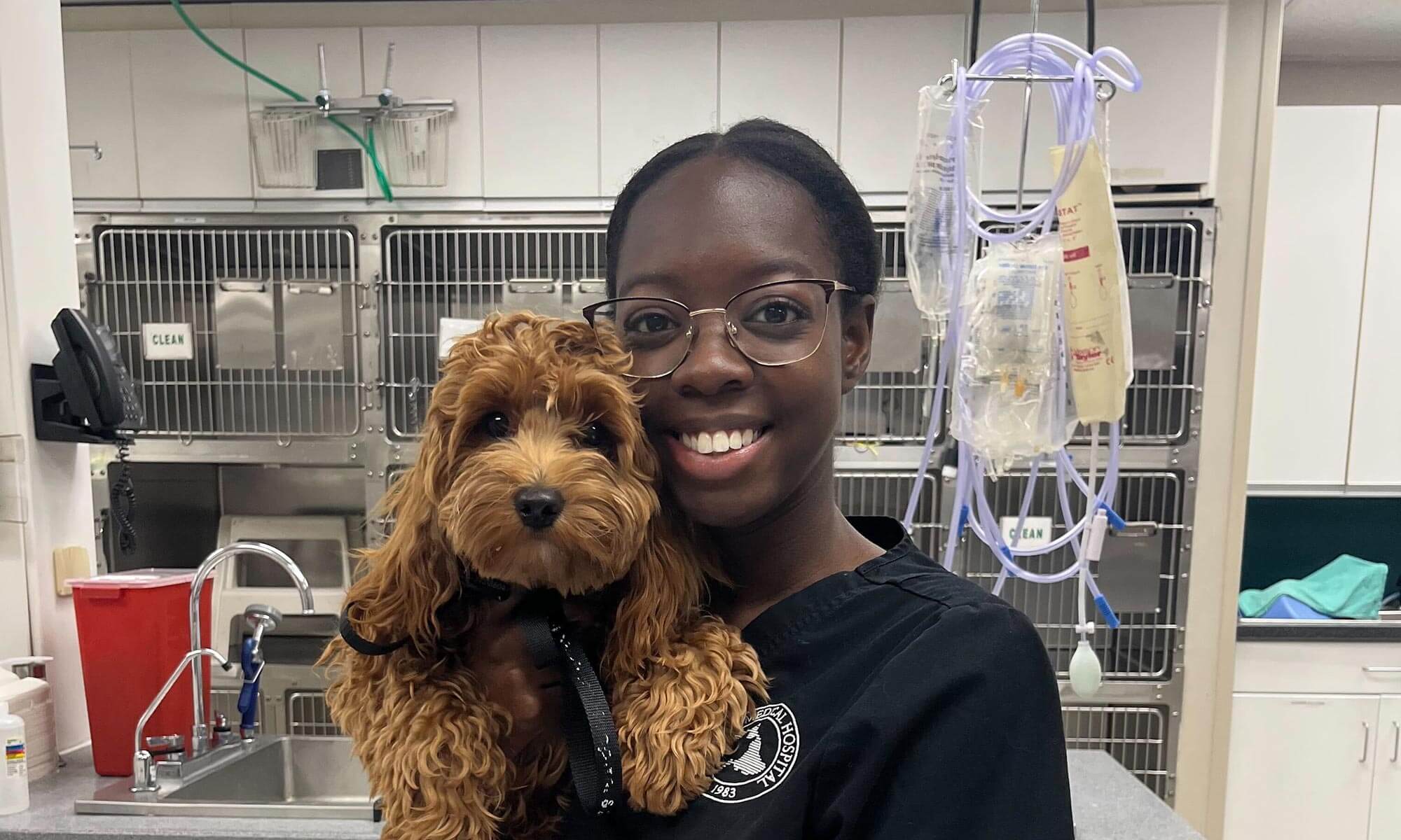 A vet tech with a canine patient